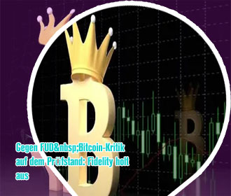 Bitcoin kritik