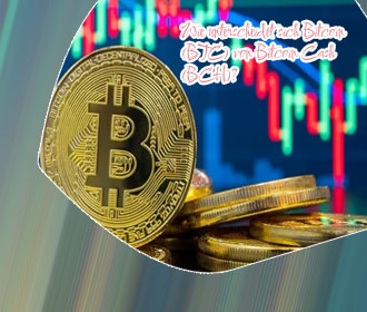 Bitcoin prwis
