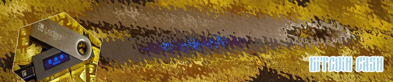 Scan bitcoin wallet